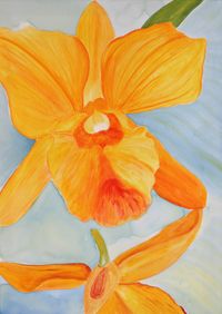 Orchideen gelb_50x70